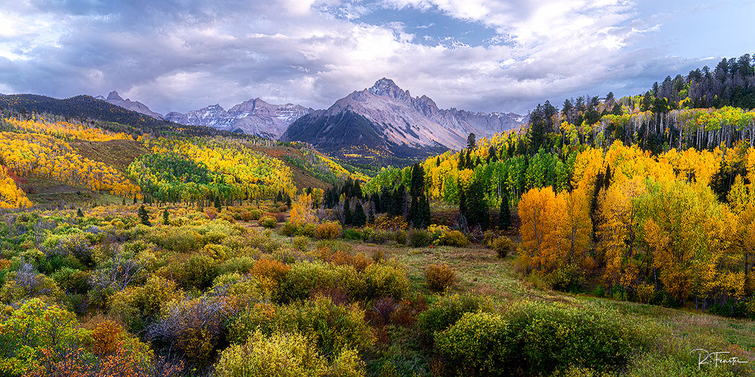 Magic Meadows