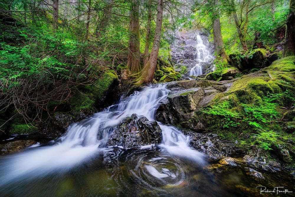 maryvine falls