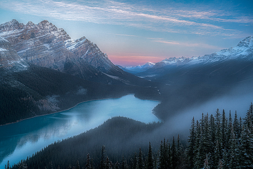 peyto fog